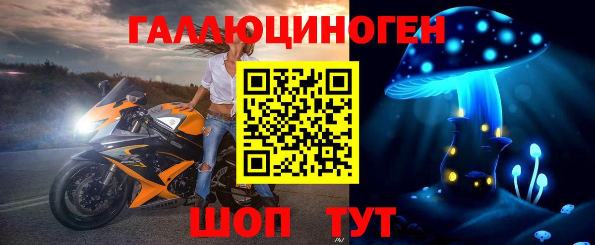 Галлюциногенные грибы Psilocybe  Вход с VPN  где купить   Горячий Ключ 